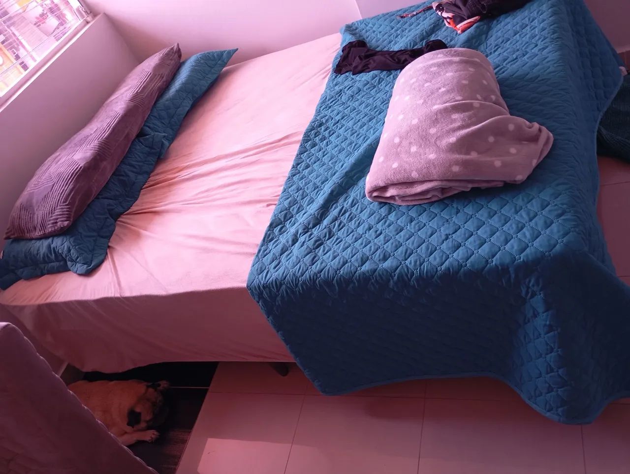 Cama Nova embalada (casal)