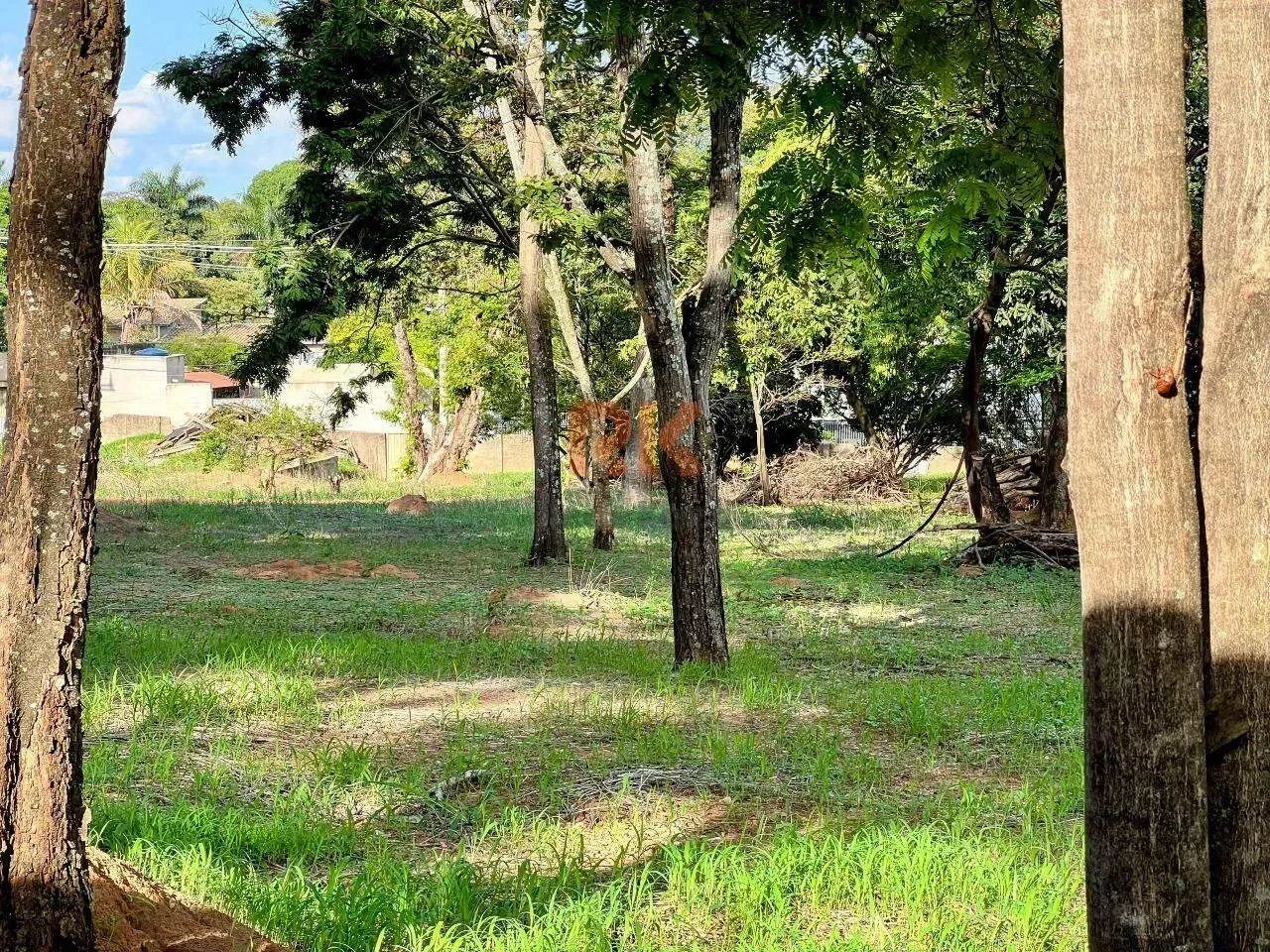 Lotes à venda no Braúnas  Excelente oportunidade! - Foto 3
