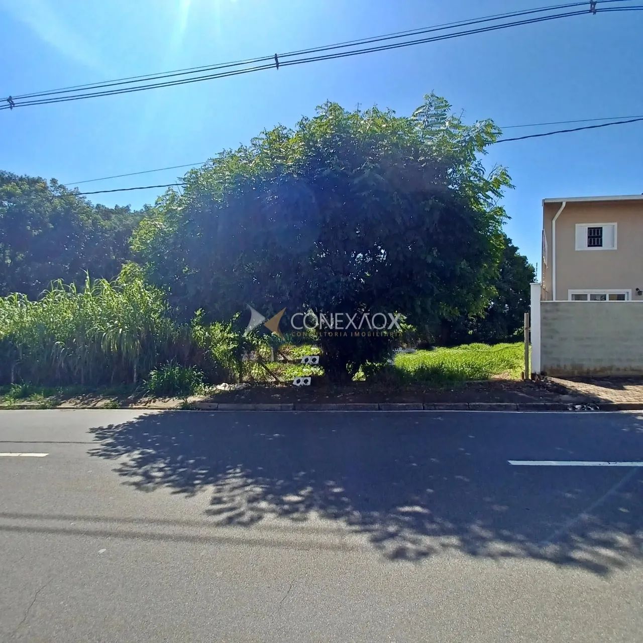 terreno - Cidade Universitária - Campinas - Foto 2