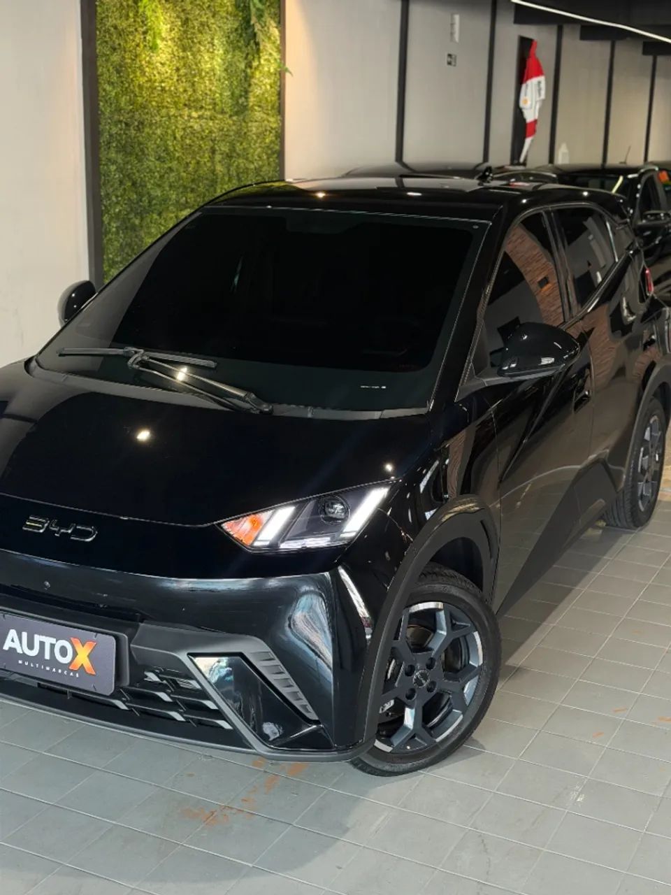 BYD Dolphin GS (Elétrico) 2026 - Foto 3