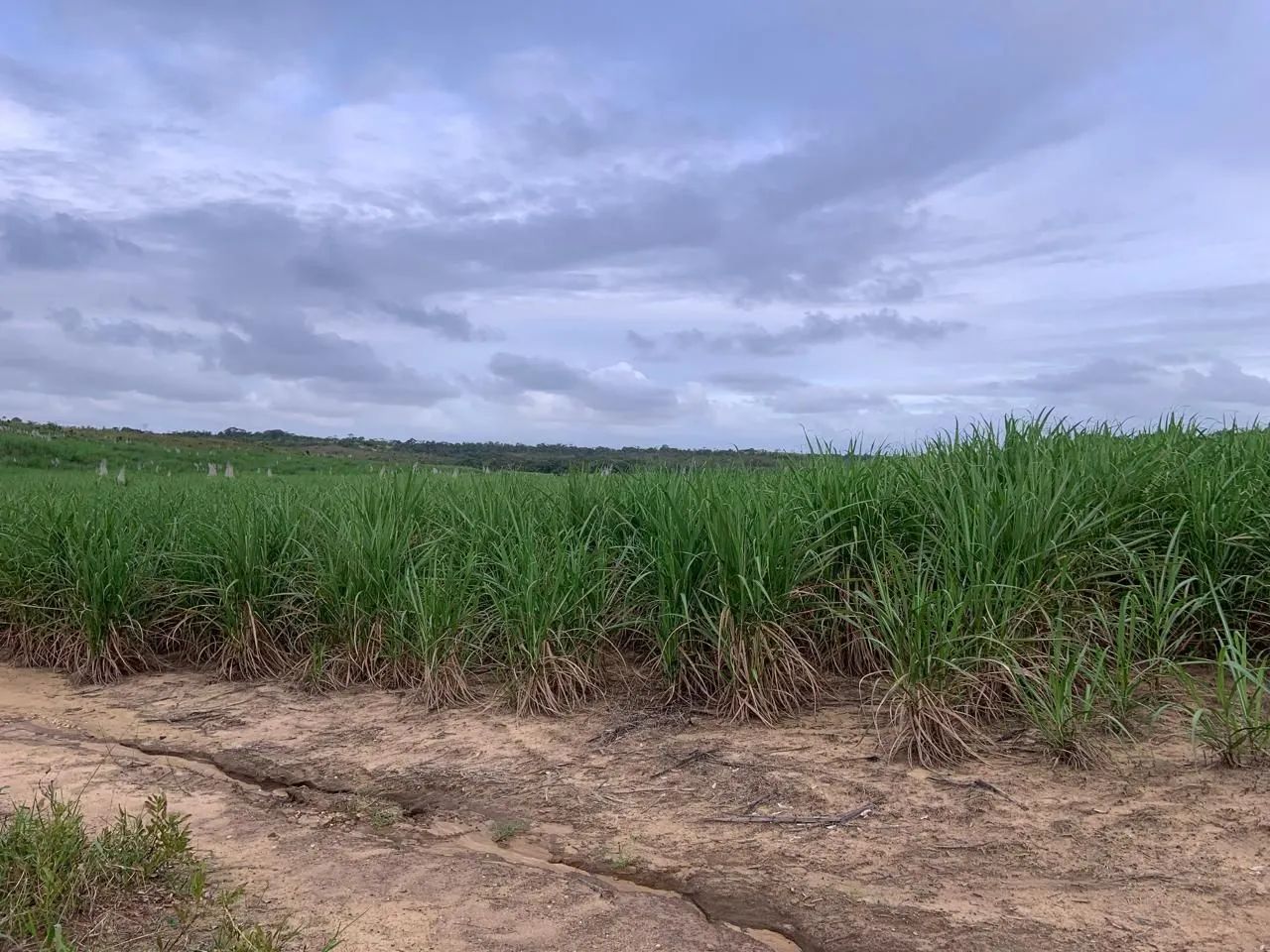 Terreno a venda  - Foto 2