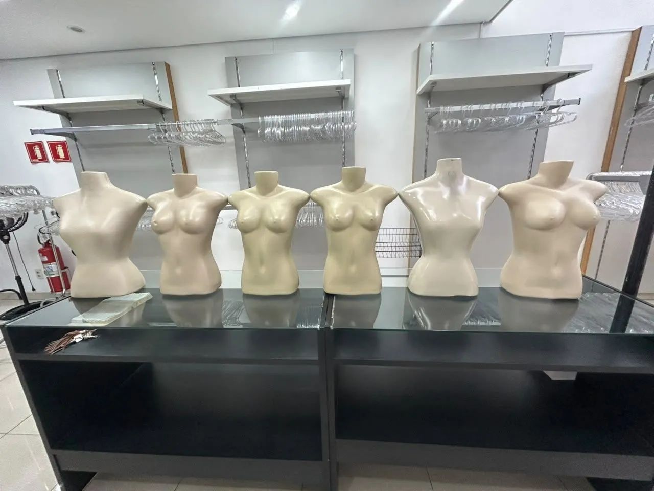 Busto feminino
