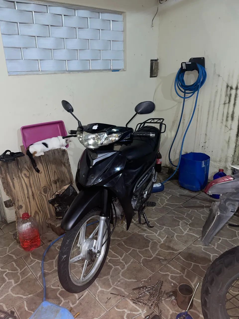 Zig 50 de procedência de leilão  - Foto 2
