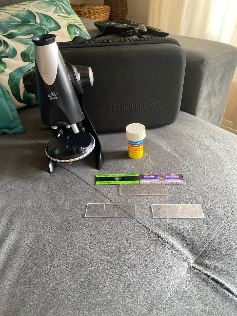 Microscópico