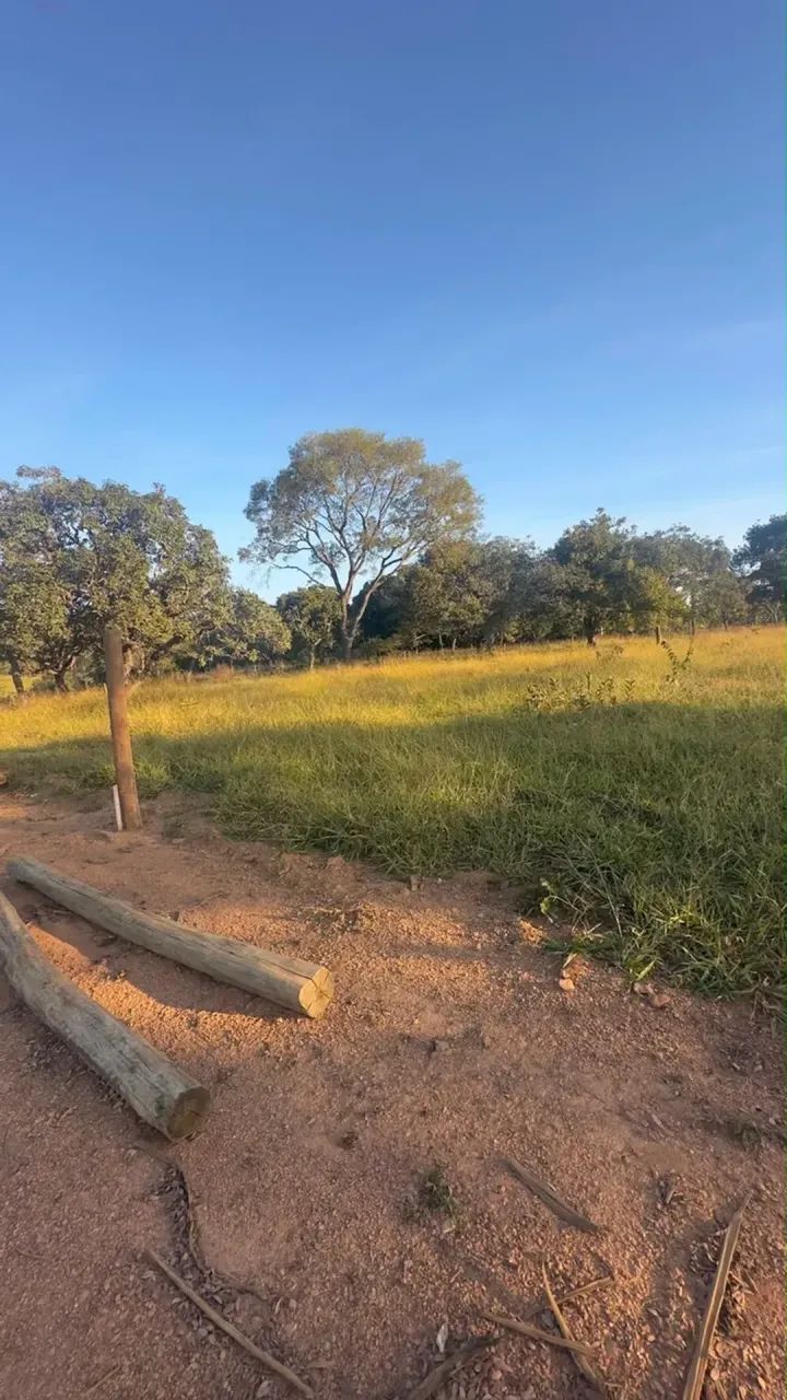 chácara Em Aragoiania Goias - Foto 3
