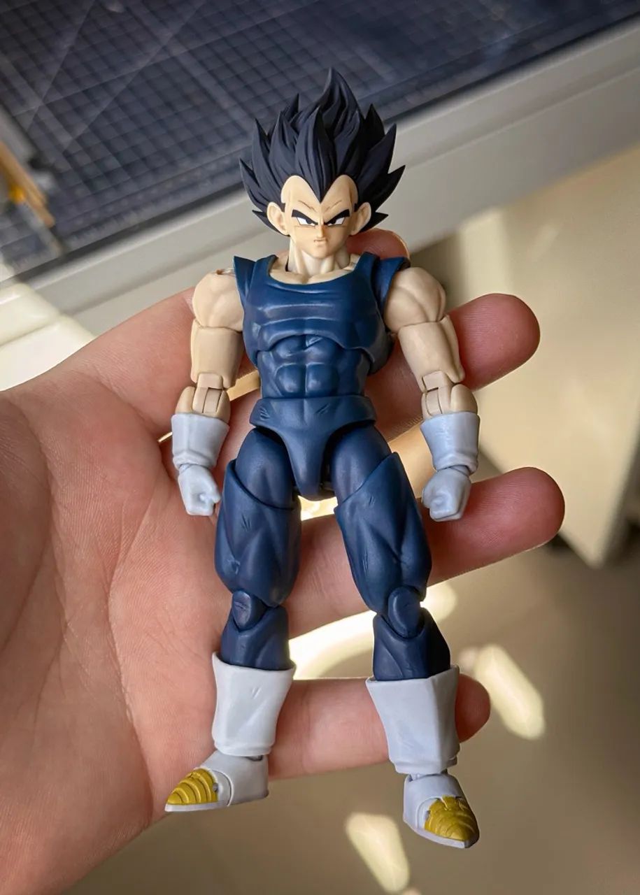 Vegeta Black Hole A + Head base TK