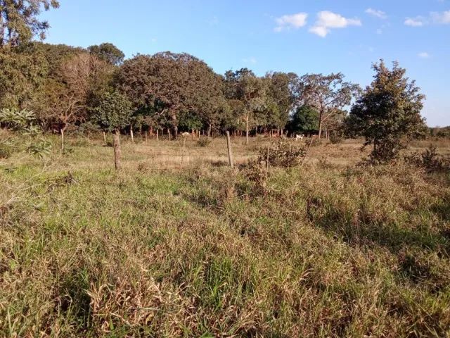 Sitio Bosque Primavera - Foto 5