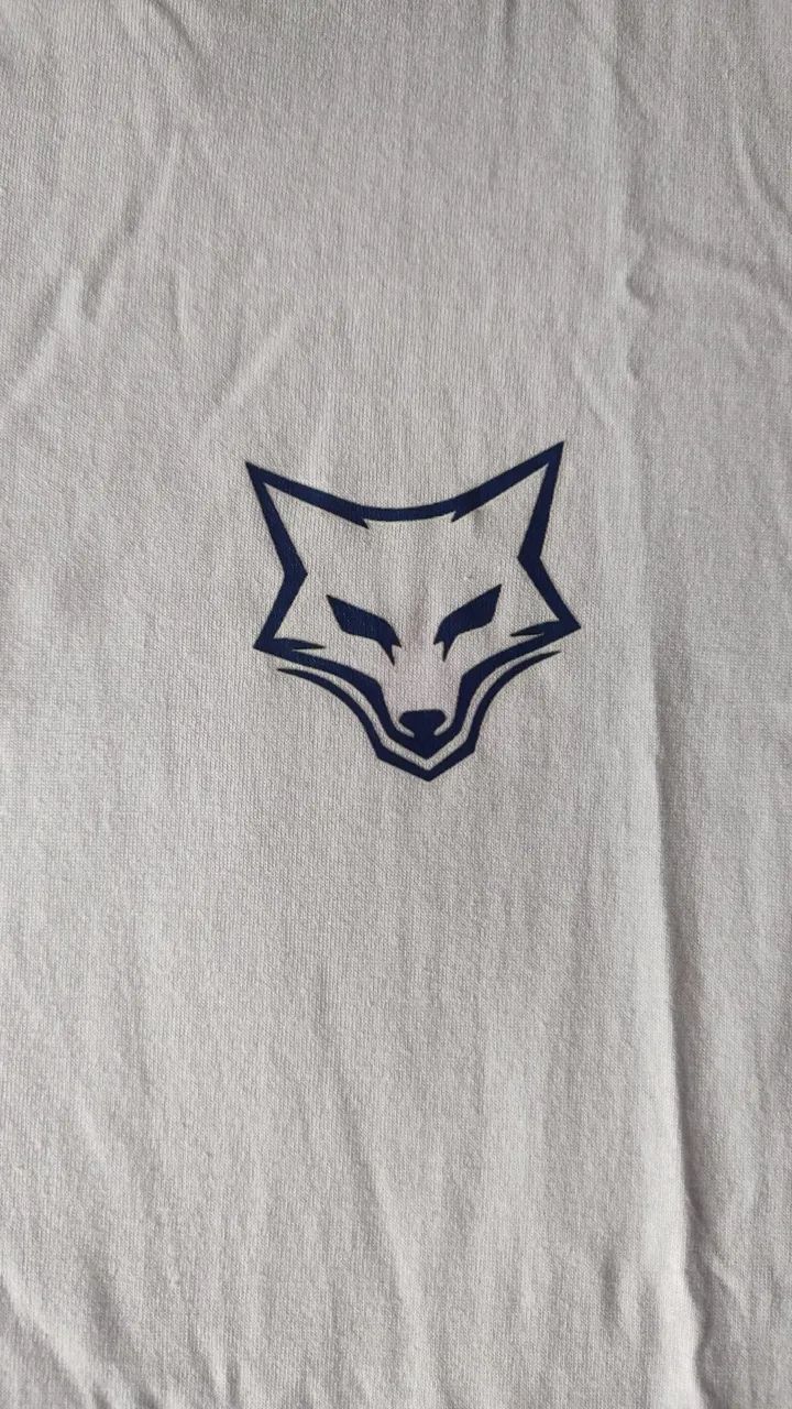 kits 2 camisas cruzeiro raposa 100% algodão