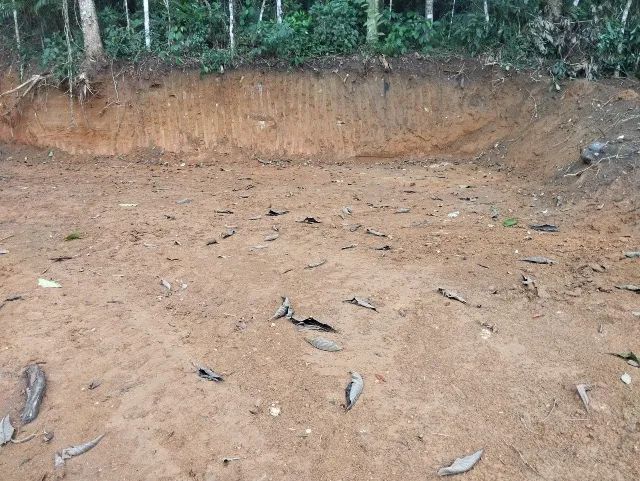 Terreno - Foto 4