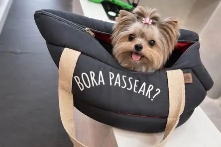 Bolsa passeio pet