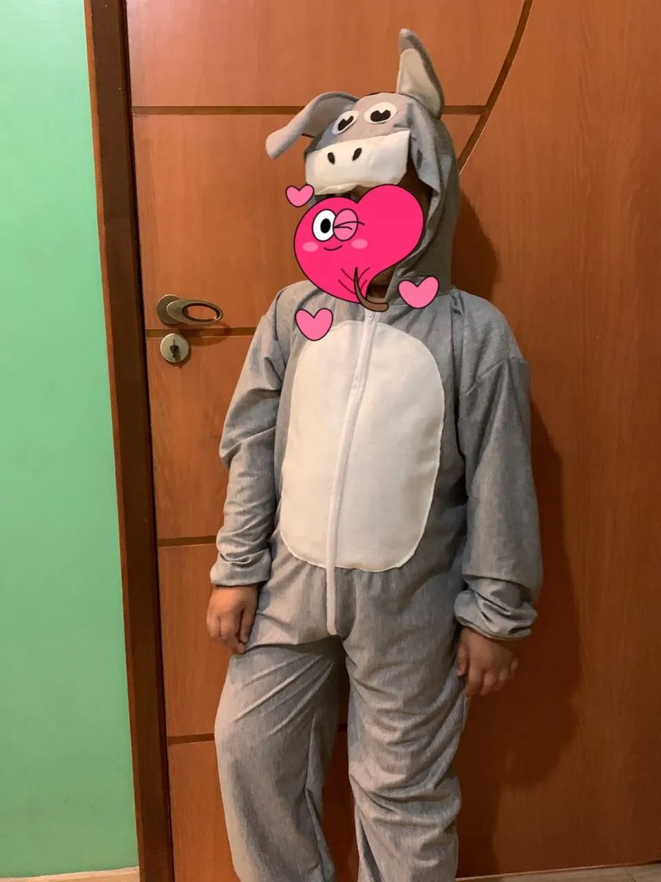 Fantasia do Burrinho 