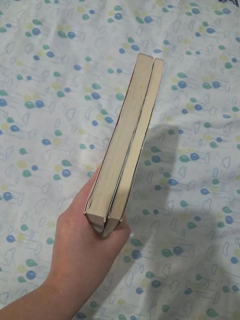 Kit dois livros - Foto 4