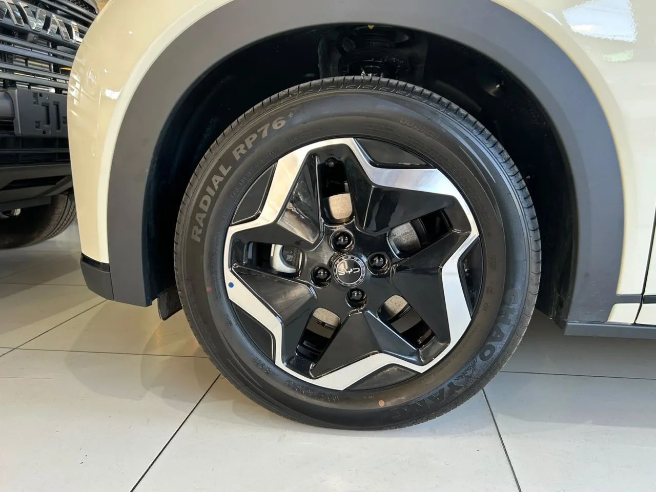 BYD Dolphin GS (Elétrico) 2027 - Foto 5