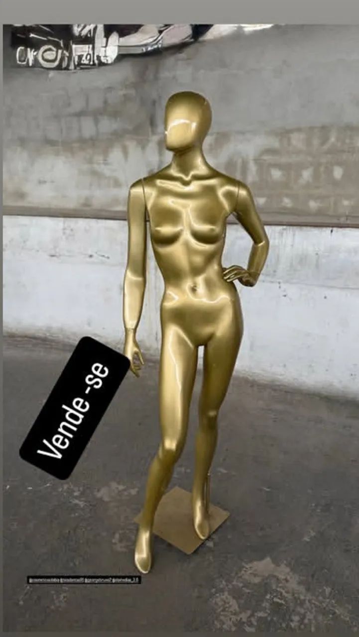 Maniqueí de fibra 