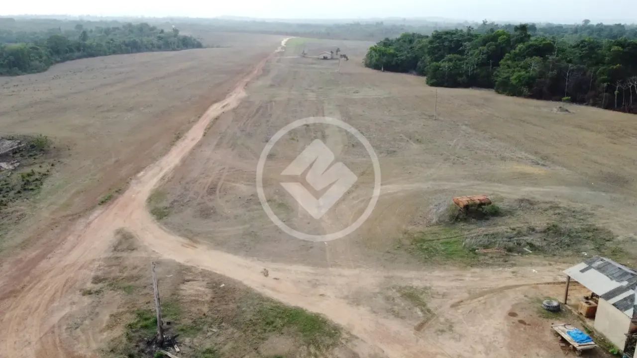 Fazenda de Alta Produtividade com Logística Impecável. codigo: 269102 - Foto 2