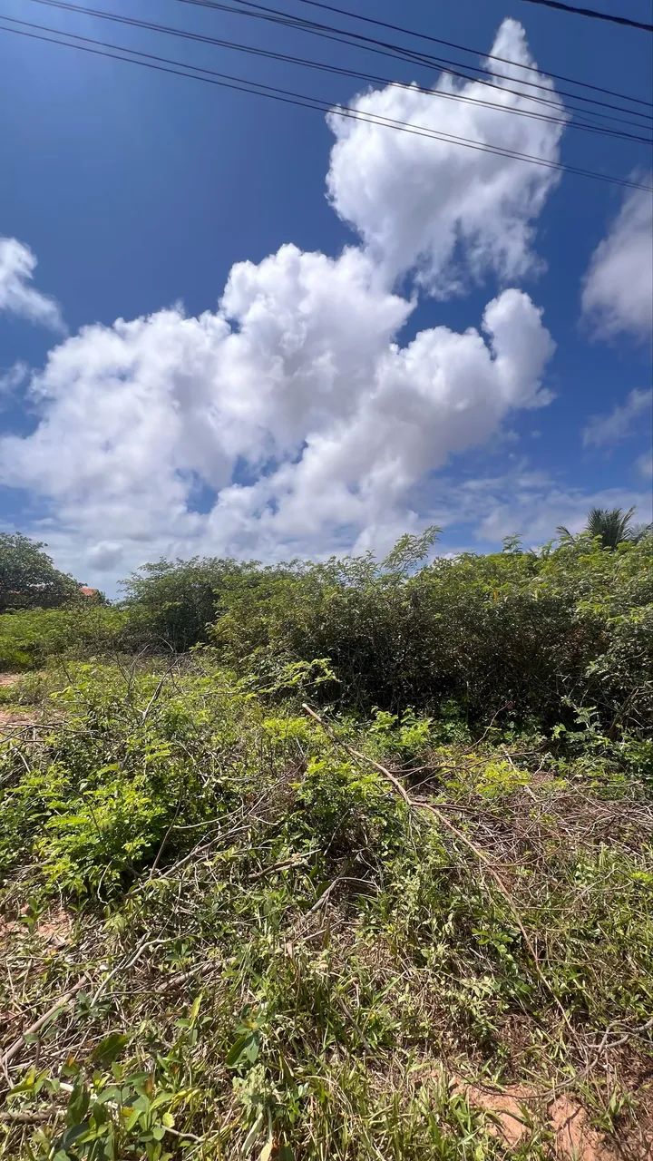 Terreno 7x40 em Extremoz  - Foto 2