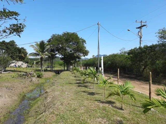 Vendo Chácara/Sítio - Foto 3