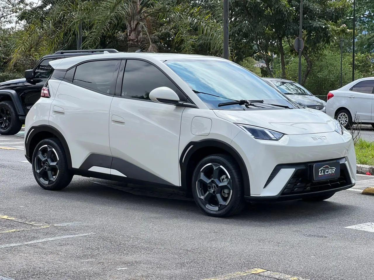 BYD Dolphin GS (Elétrico) 2025 - Foto 3