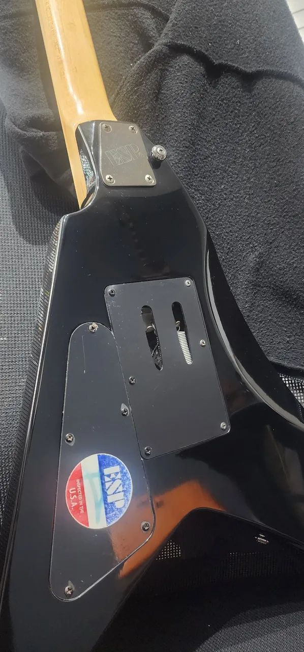Guitarra ESP LTD Alexi-200 (Upgrade Dimebucker) - Instrumentos