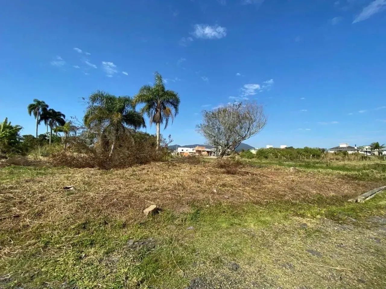 Terreno com 360m2 no Carianos, Florianópolis/SC - Foto 3