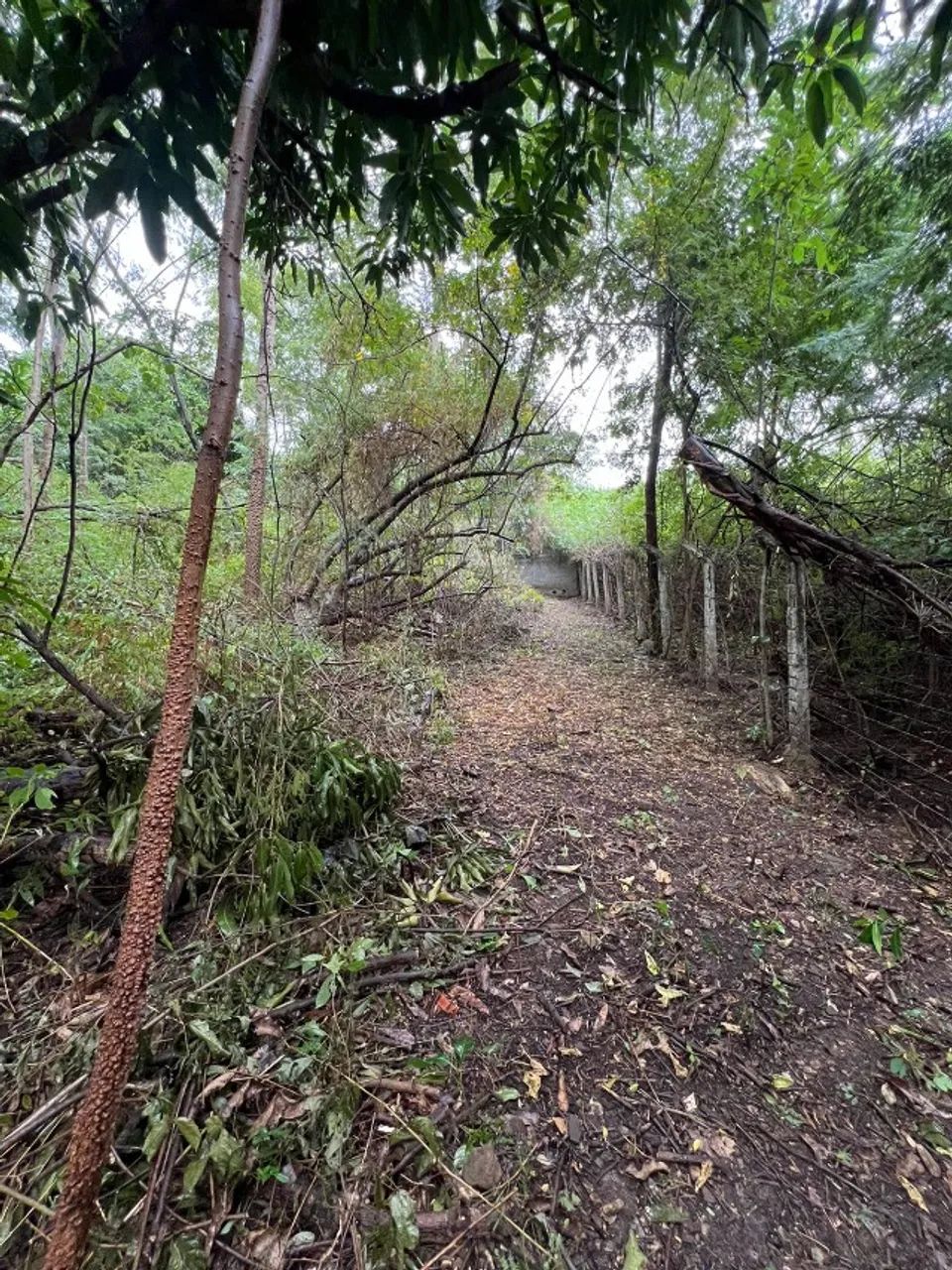 Terreno para chácara com 3000 m² - Foto 5
