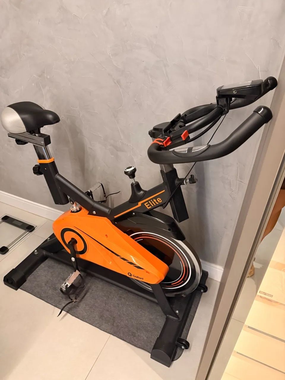 Bicicleta ergométrica