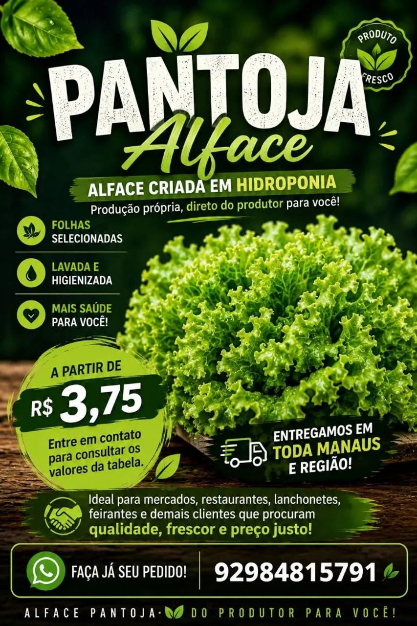 Alface fresco e barato