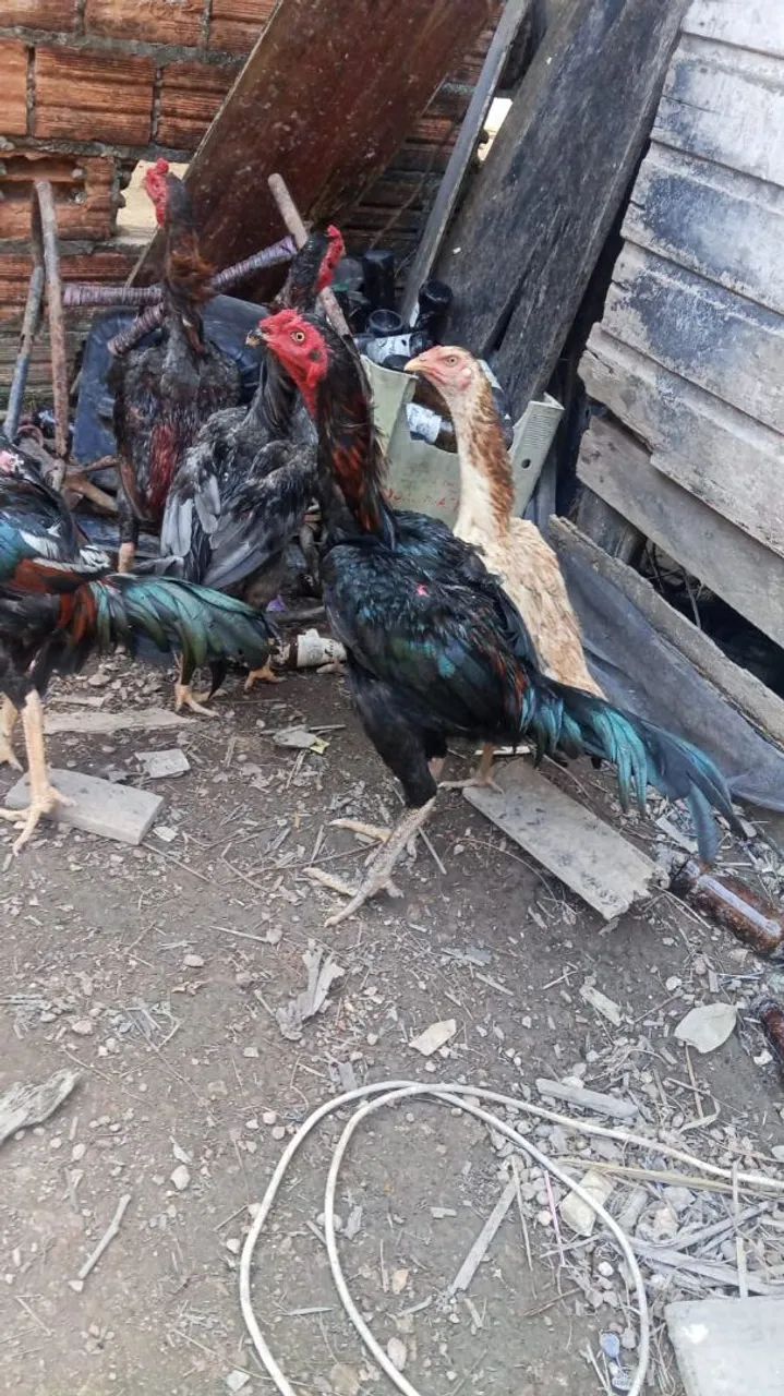 Vendo $200 - Foto 3