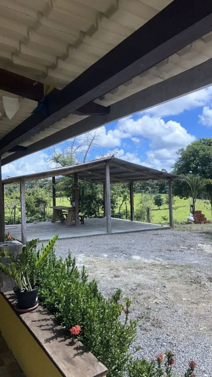 FAZENDA PRODUTIVA À VENDA - Foto 2