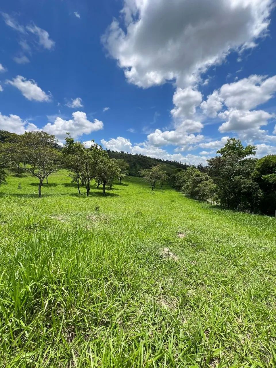 Terreno de 5 mil metros em itaguara 