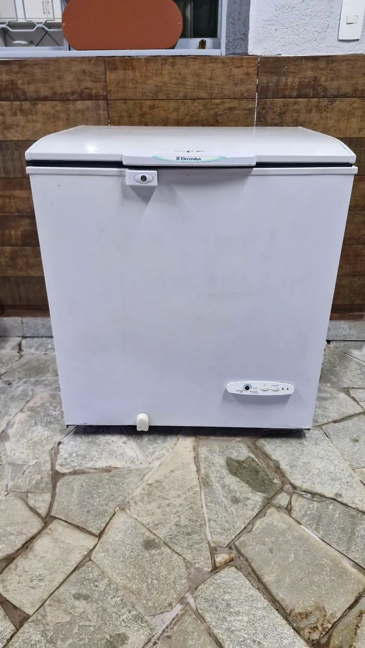Freezer Electrolux 