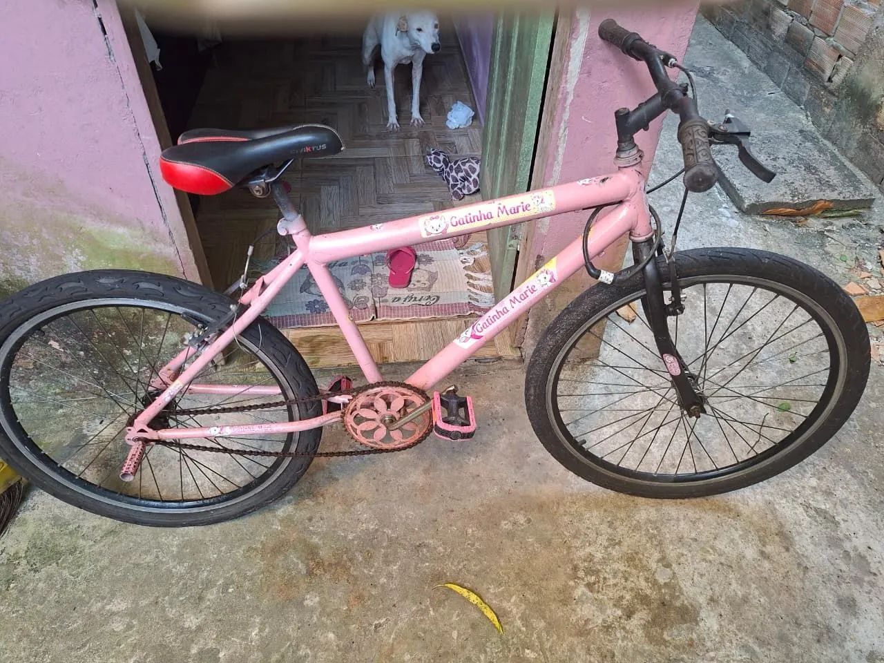 Bicicleta rosa 