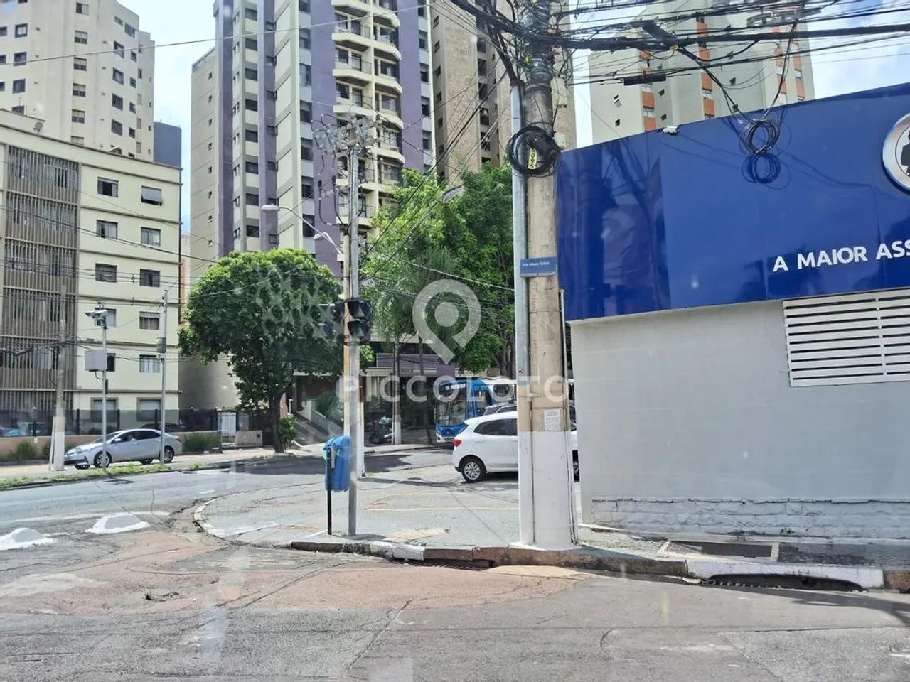 Terreno à venda em Campinas, Vila Itapura, com 337.5 m² - Foto 4