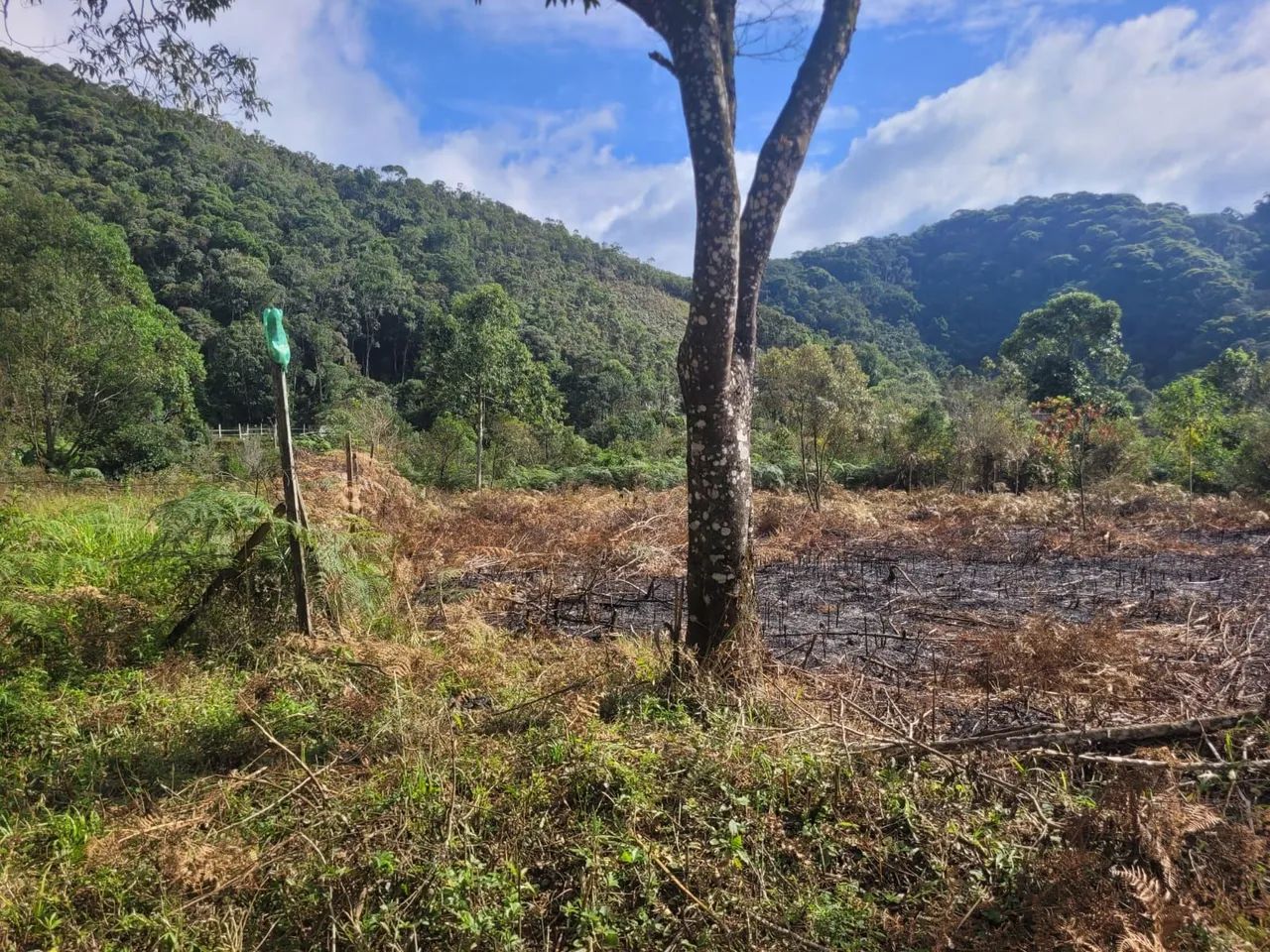 Foto - Volta Redonda - Siderópolis