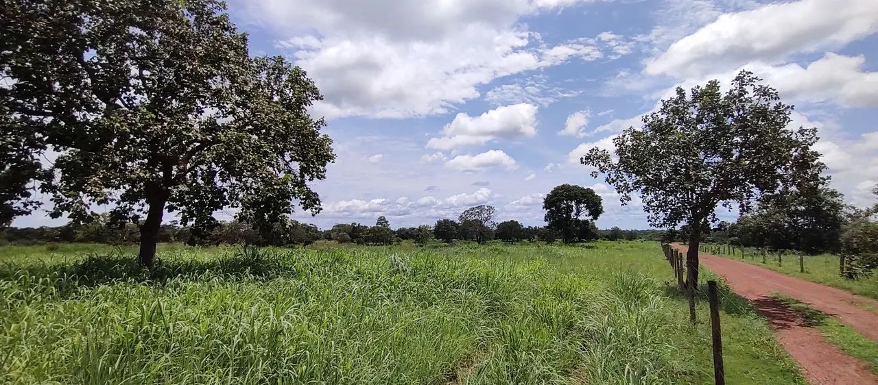 Vende se chácara Divinópolis to - Foto 5