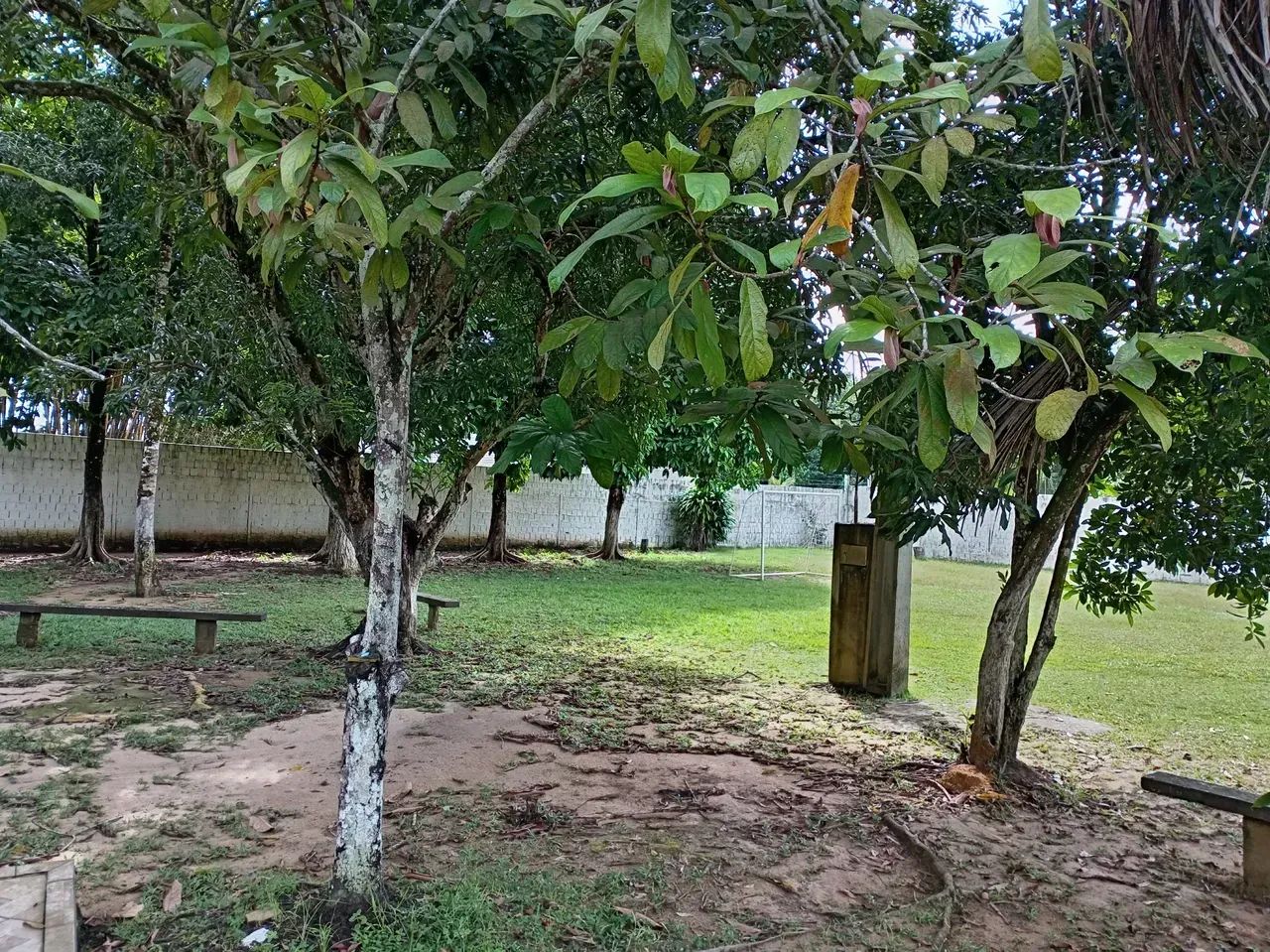 Terreno No Tarumã-Açu - Foto 4