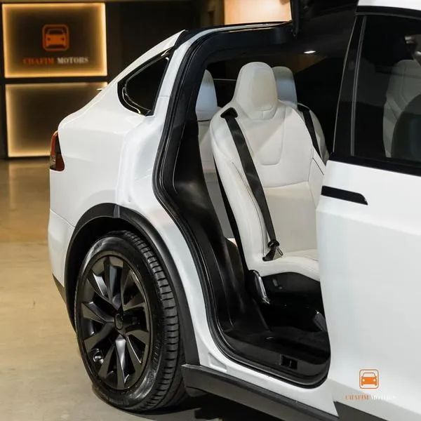 Tesla Model X Plaid Eletrico, foto 6 de 20
