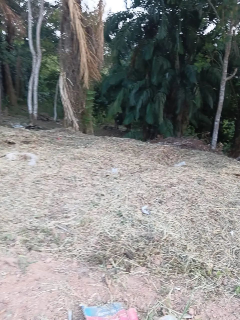 Venda de terreno 