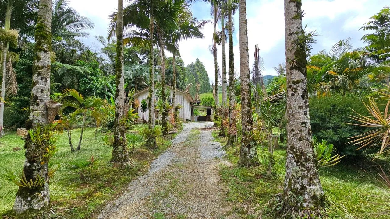 Sítio com cachoeira - Foto 3