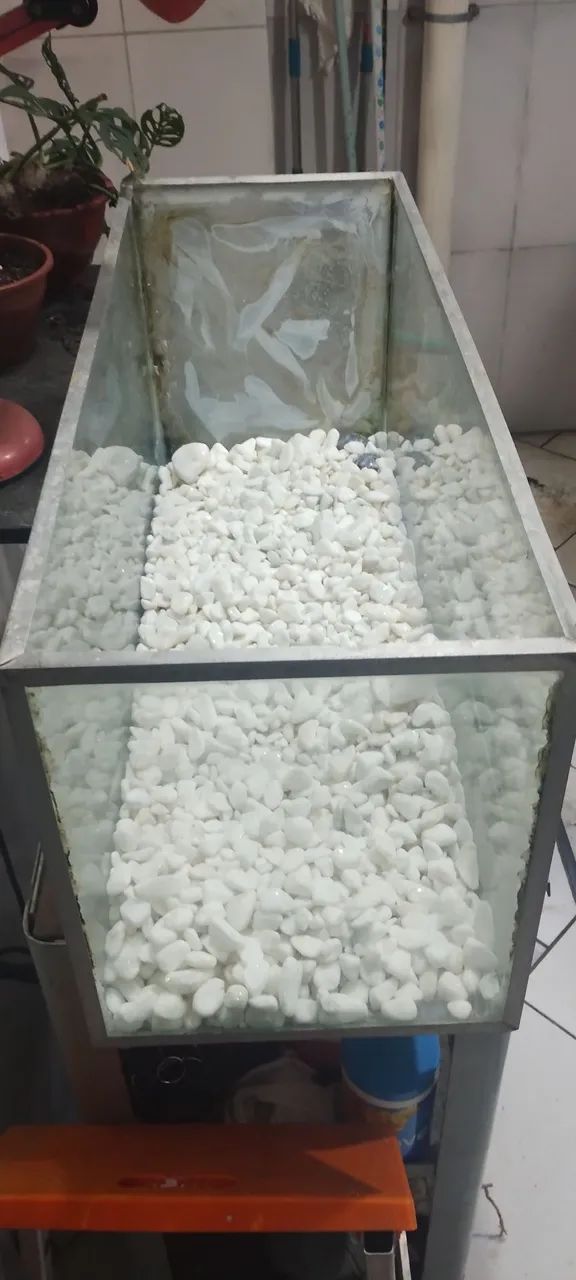 Aquário/terrário  - Foto 4