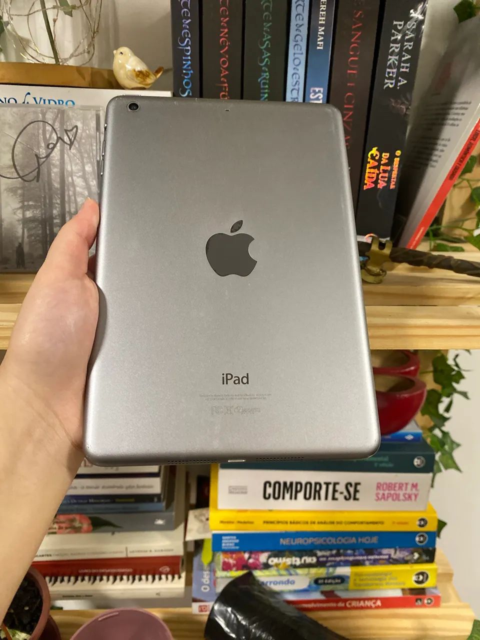 Ipad mini 2