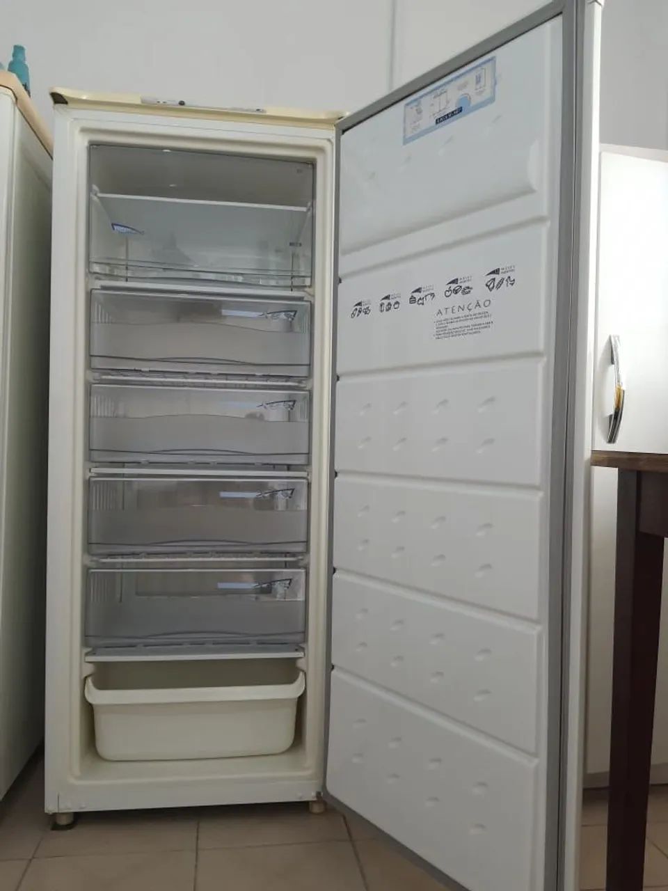 Freezer Consul 250