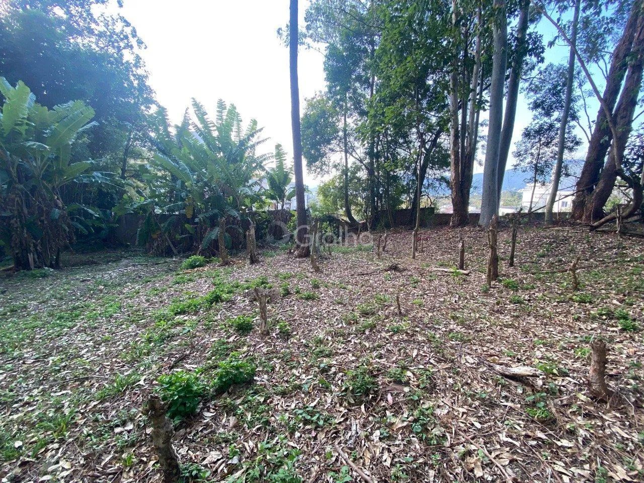 Terreno de 1.500m² no Pantanal - Foto 4