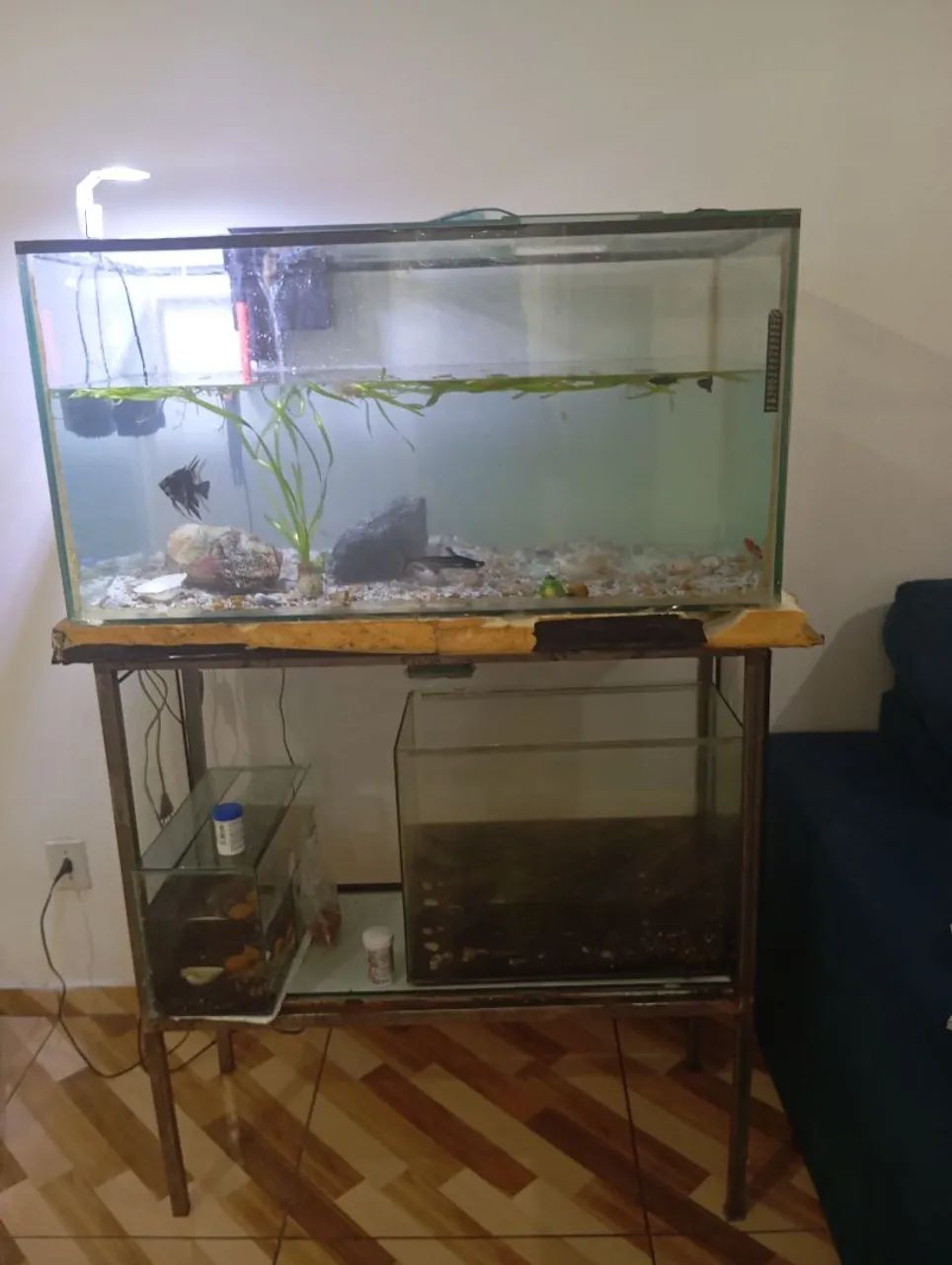 Aquários  com suporte 