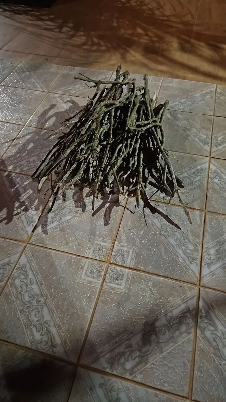 Poleiros Naturais  - Foto 4