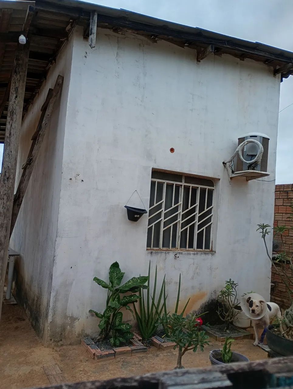 Oportunidade única  - Foto 5