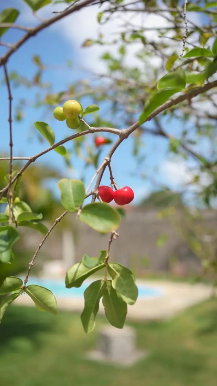 Casa Completa p/ Temporada - Foto 10