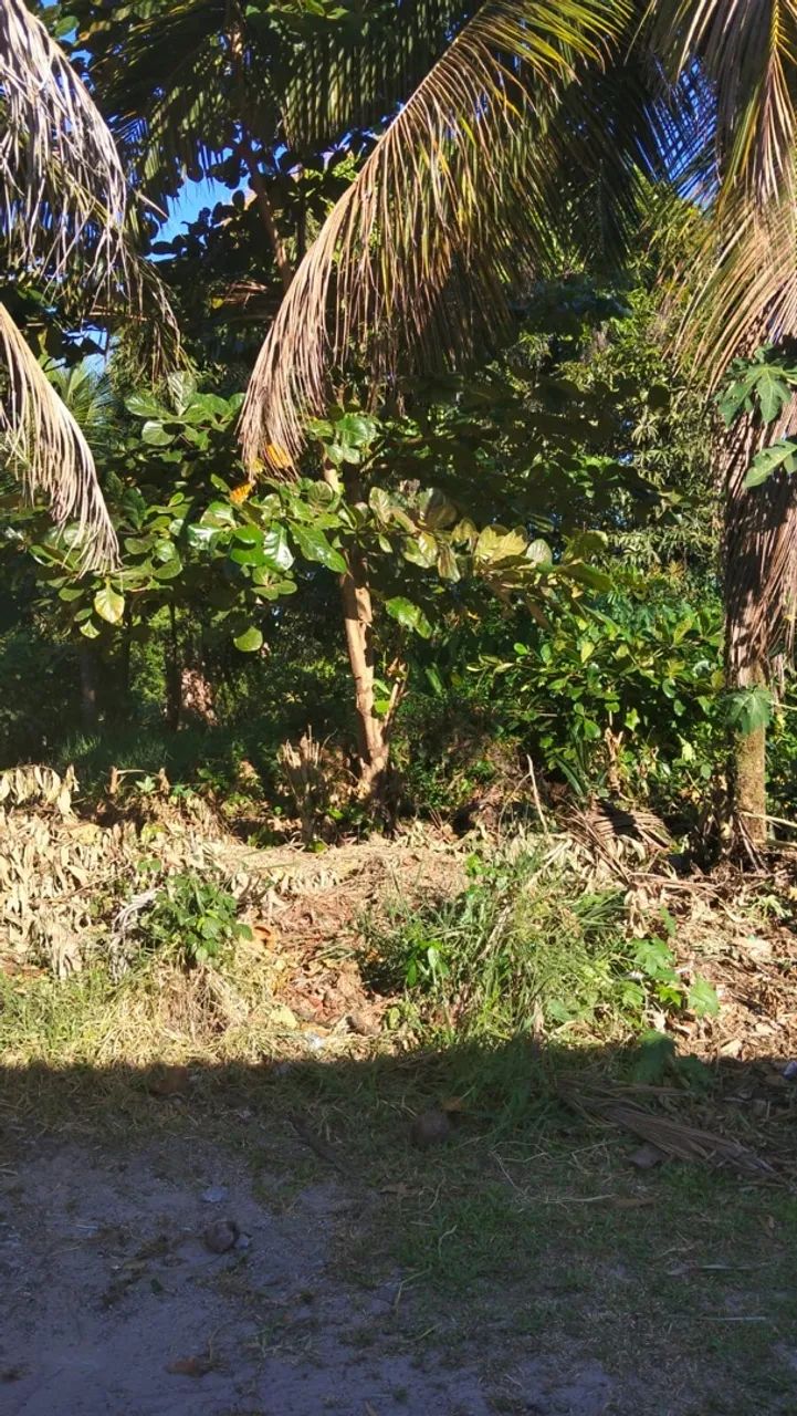VENDE-SE TERRENO CAMPINHOS - MARAÚ  - Foto 4