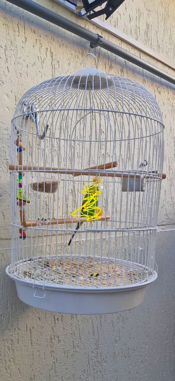 Gaiola passaros - Foto 2