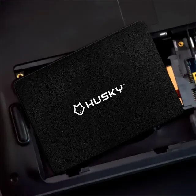 SSD Husky, SATA III, 256GB